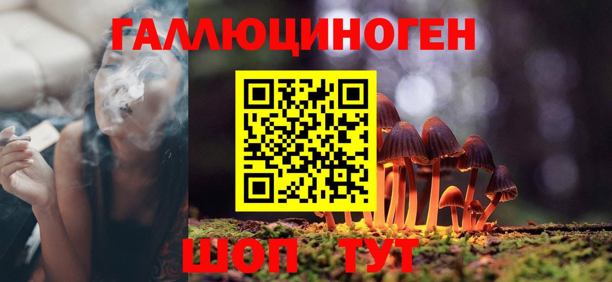 Пыть-Ях  Галлюциногенные грибы MAGIC MUSHROOMS  Вход с VPN 